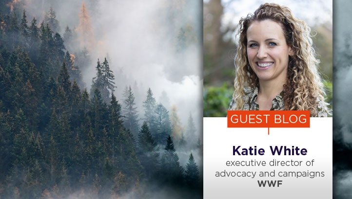 Uniting action on climate and nature through Great Big Green Week